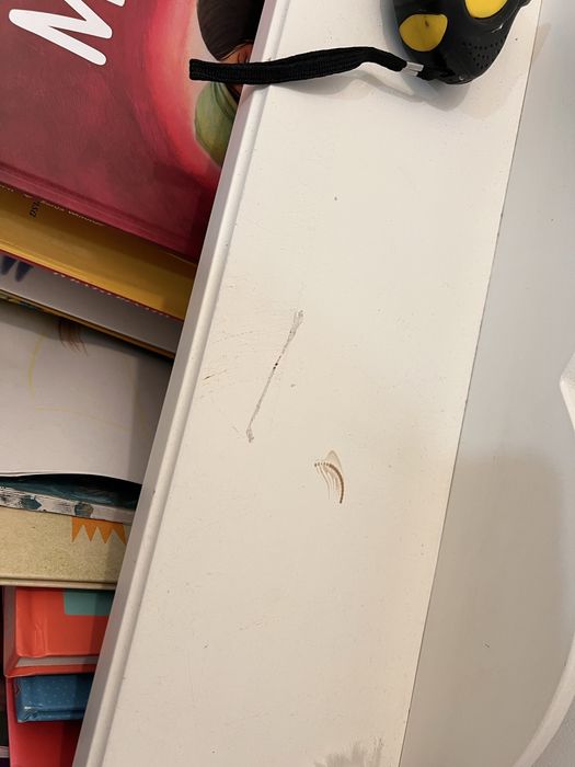 Estante livros criança