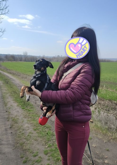 Крихітка в добрі руки