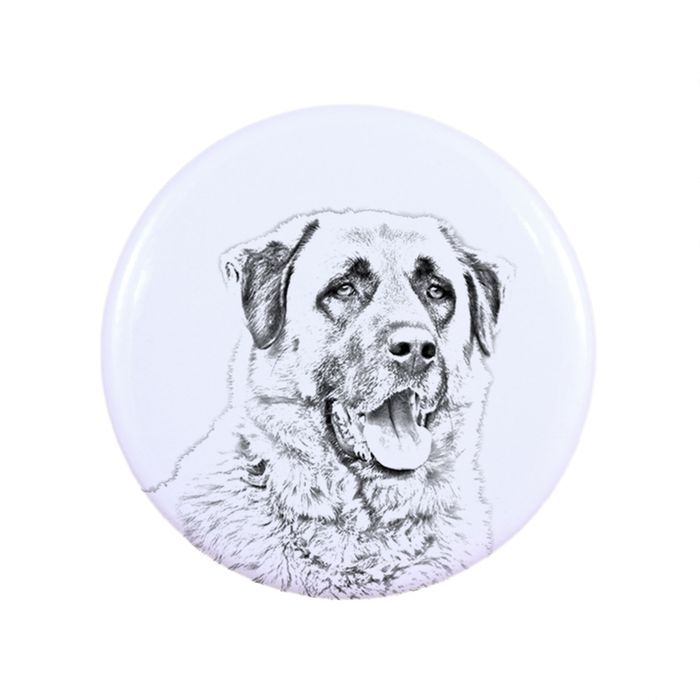 Anatolian przypinka z psem duża Art-Dog
