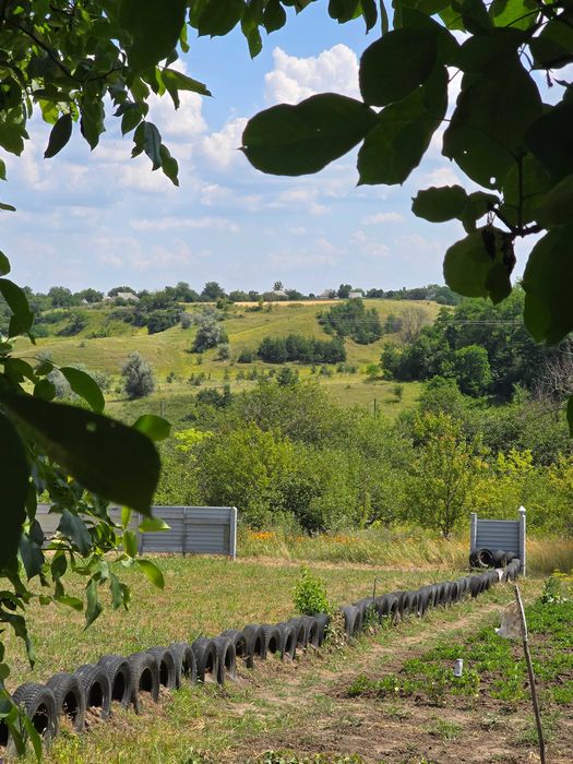 Продаж дачі в с.Черкас поруч з лісом