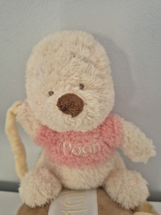 Winnie the Pooh com caixa de música