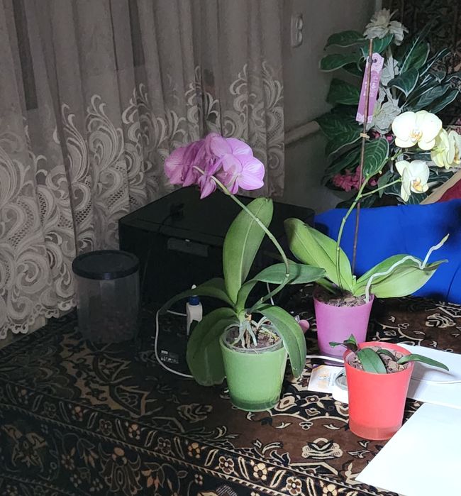 Прилад нічного бачення Levenhuk