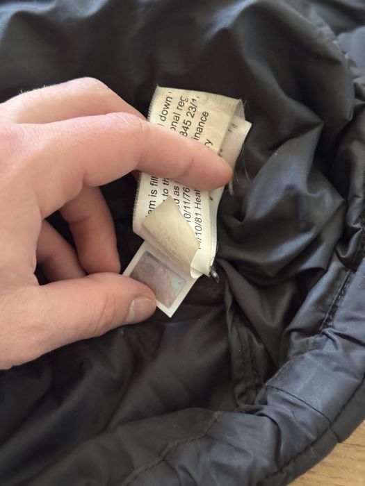 The North Face micropuffer jacket
