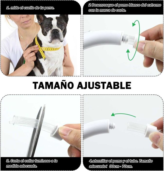 Nepfaivy LED Obroża Świecąca, dla Dużych i Średnich Psów, Zielona-B