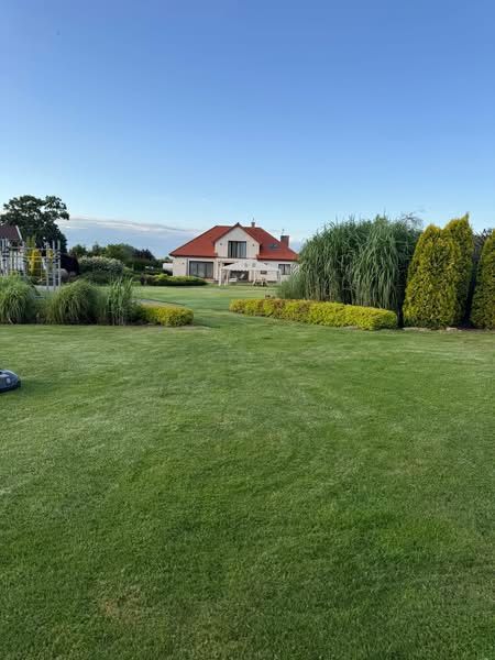 Kompleksowe uslugi ogrodnicze - Zieleń - Brukarstwo