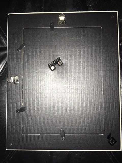 Moldura - Rosas Prateadas