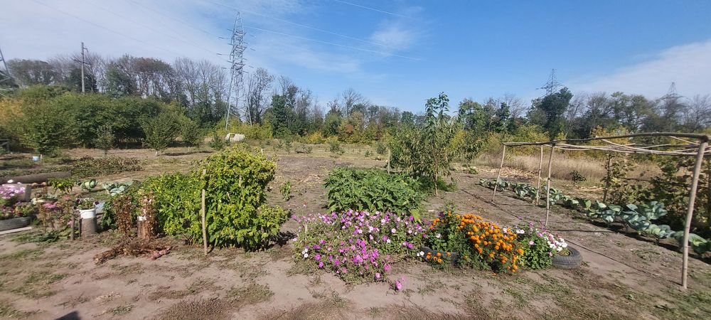 Продам дом в Солоницевке