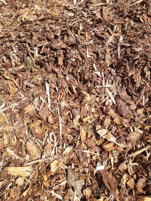 Kora sosnowa swieża pachnąca 80l worek 15zl