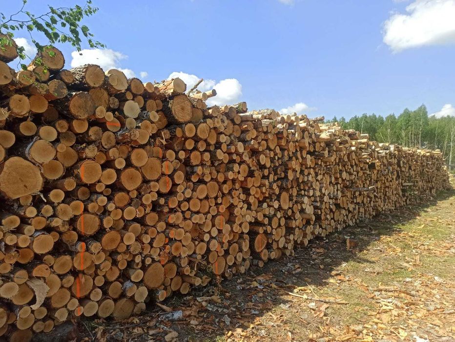 Drewno Kominkowe / Opałowe Osika , SOSNA pocięte / połupane  do pieca