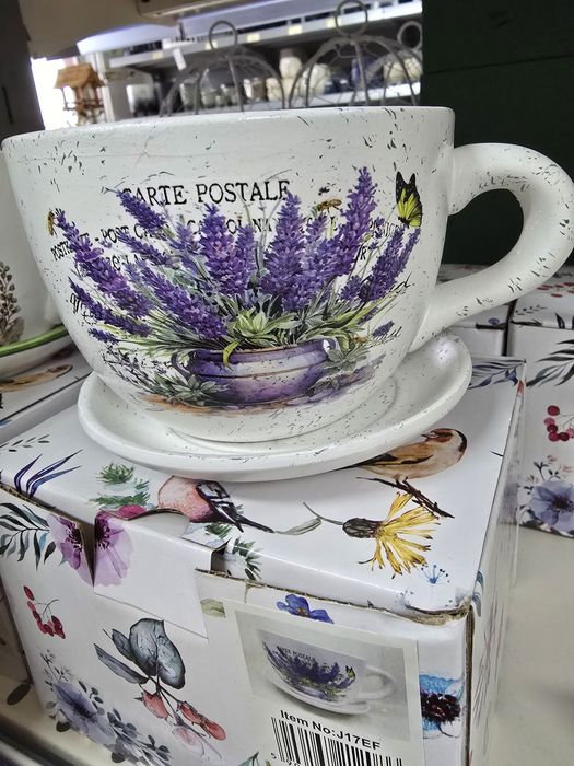 Doniczki- filiżanki