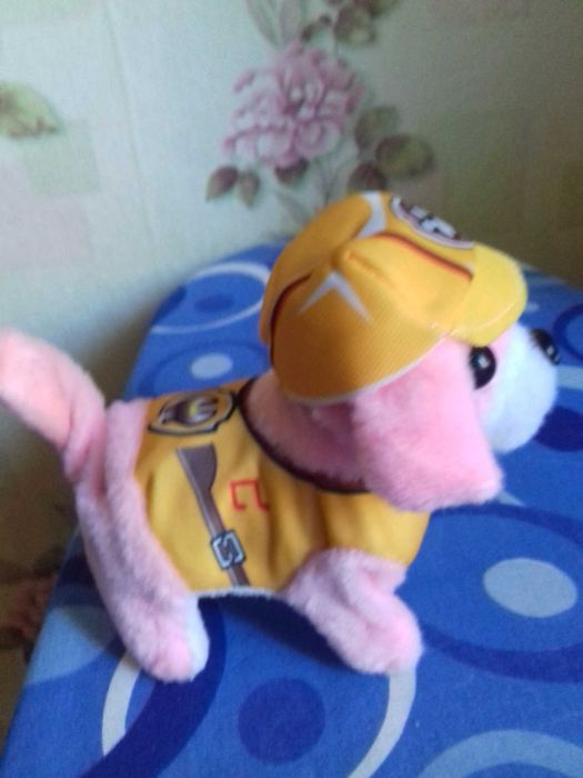 Собачка спасатель