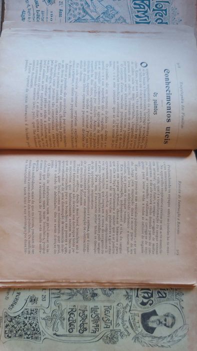 Encyclopedia das Famílias de Manuel Lucas Torres