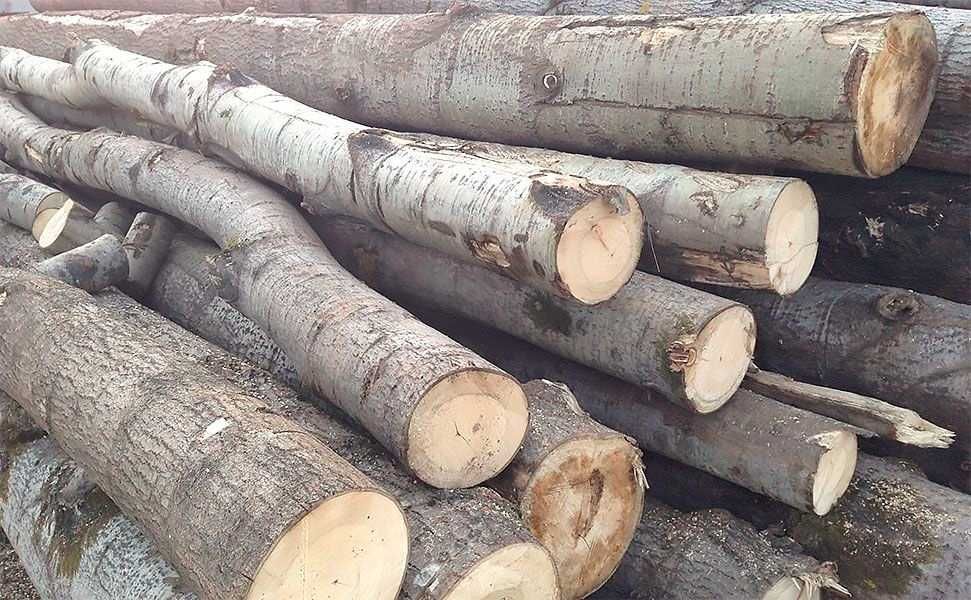 Дрова бук граб метровки гуртом по області Дрова Береза осика гуртом