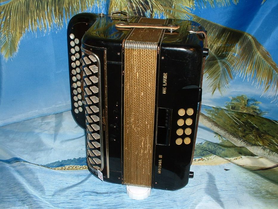 Avenda concertina n.62