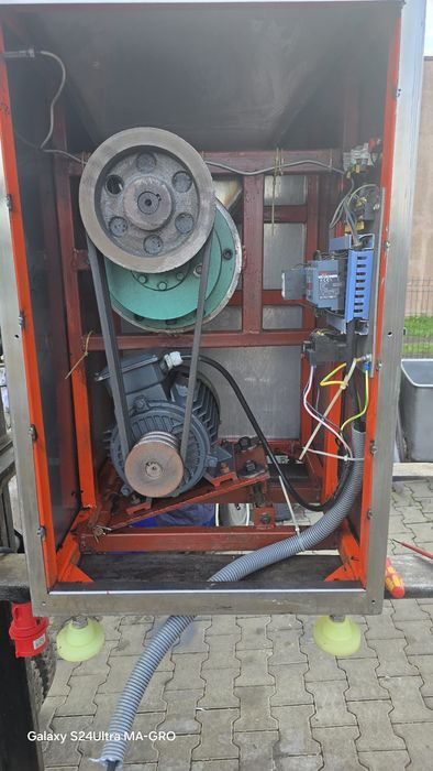 Wilk masarski zasypowy