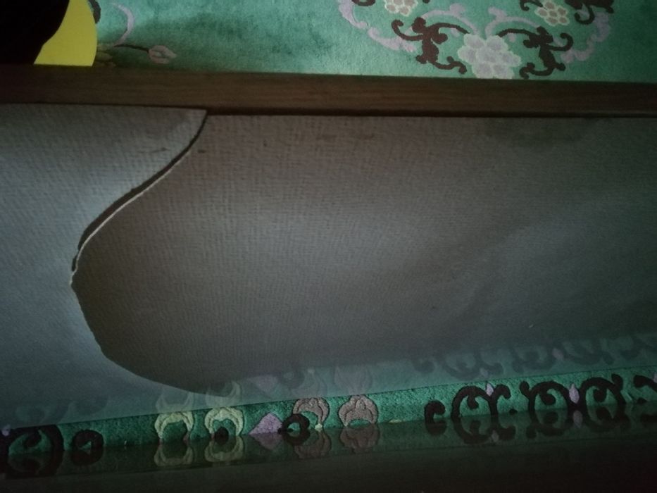 Полотна для дверей