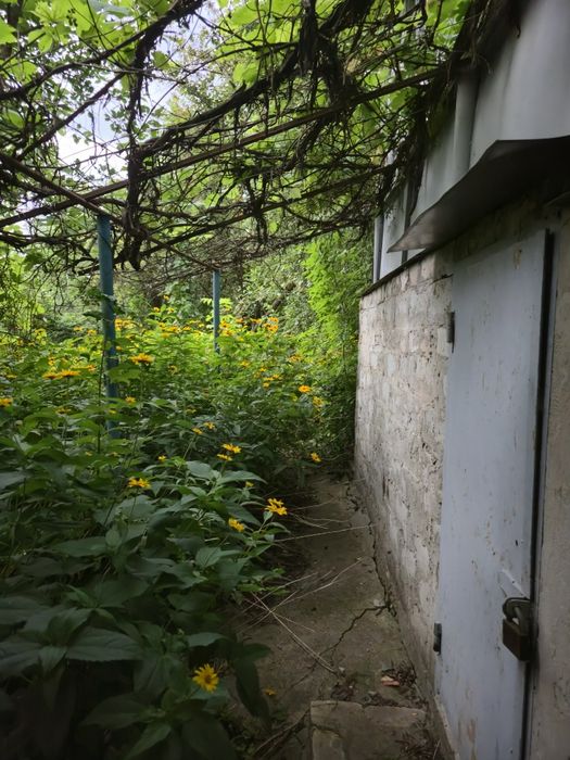 Продам ділянку 6 соток СТ "Світанок" , с.Нова Березівка