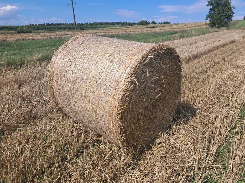 Sianokiszonka i słoma mocno zbite