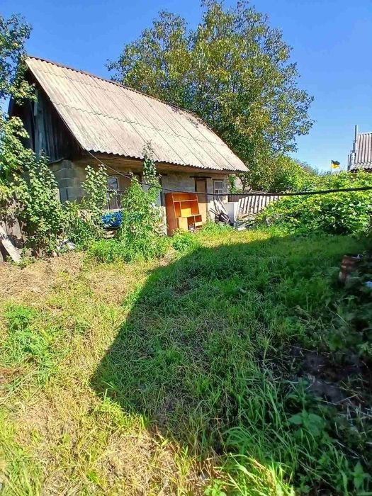Продаж будинку Бородянка