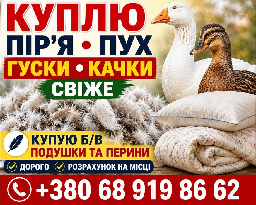 Пір'я, пух ,свіже і бу