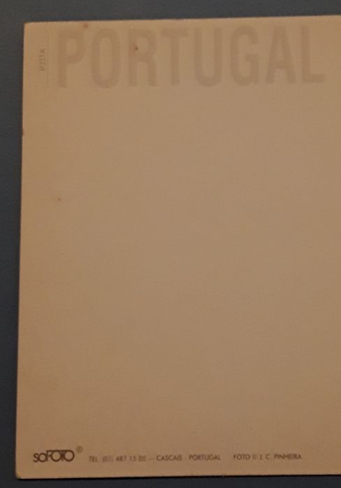 Postal gato à janela