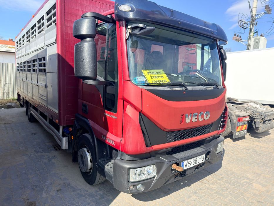 Iveco
