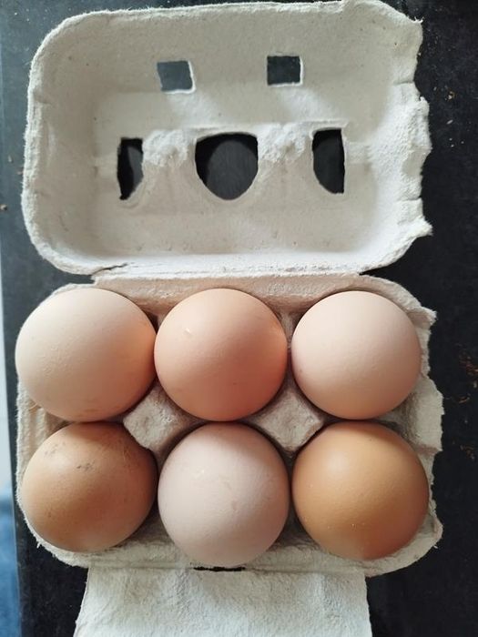 Ovos Caseiros para Entrega