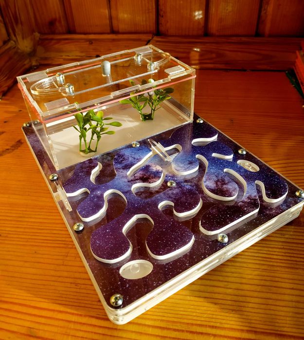 Муравьиная ферма (формикарий) «Anthouse». Полный комплект Space