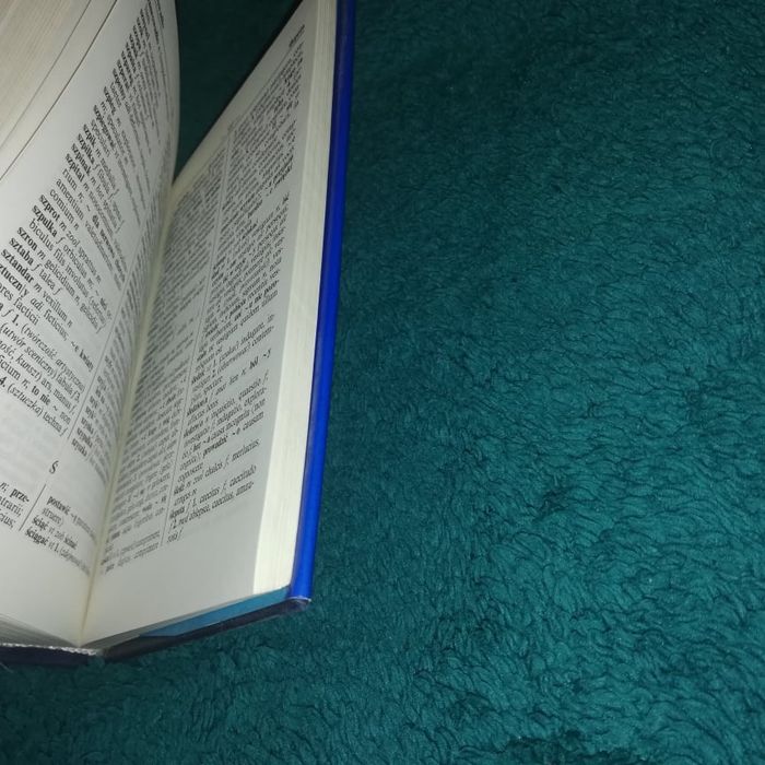 Słownik polsko-łaciński