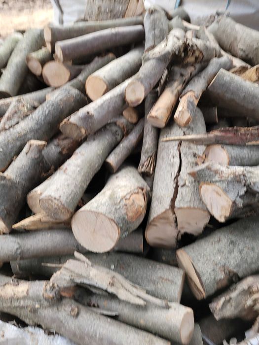 Drewno -Bukowa Gałeziówka