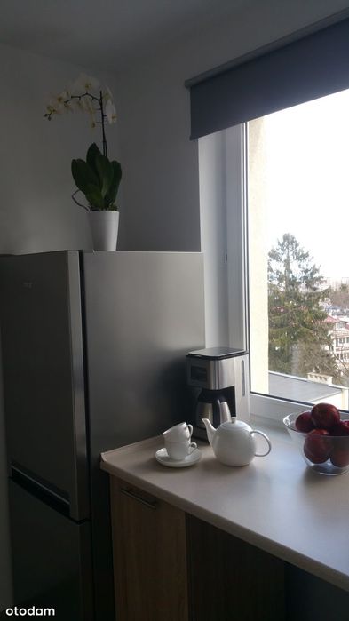 Kawalerka w Gdańsku - Oliwie