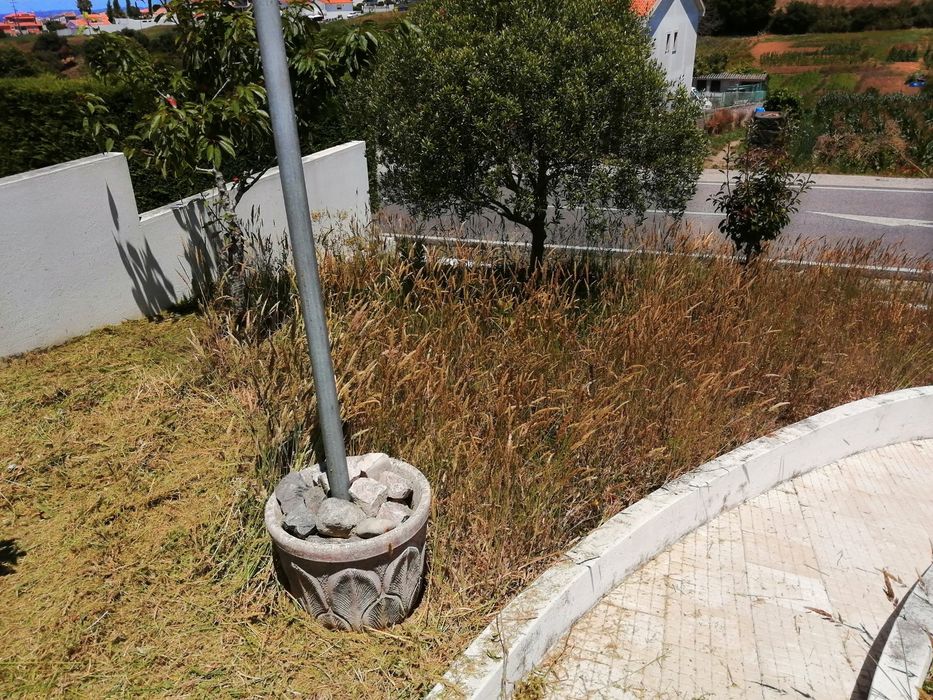 Limpeza terreno com roçadora