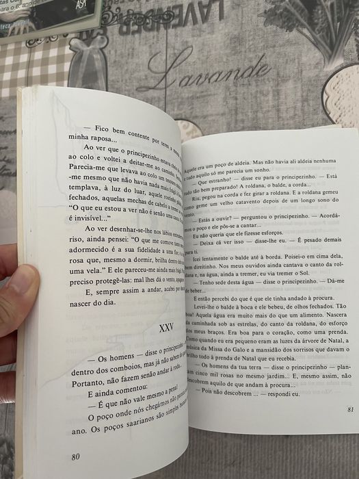 O Principezinho - Antoine de Saint-Exupéry