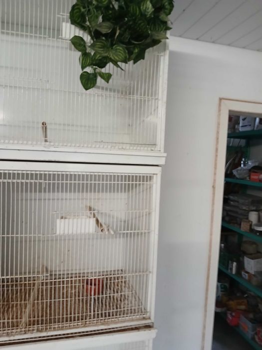 Gaiolas de criação