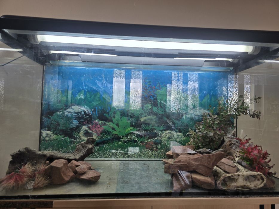 Akwarium 200l + szafka