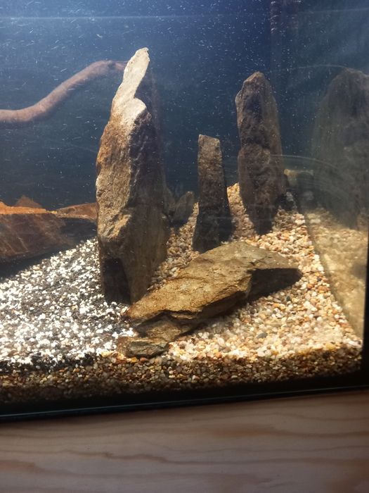 Kamień łupek do akwarium 1 kg