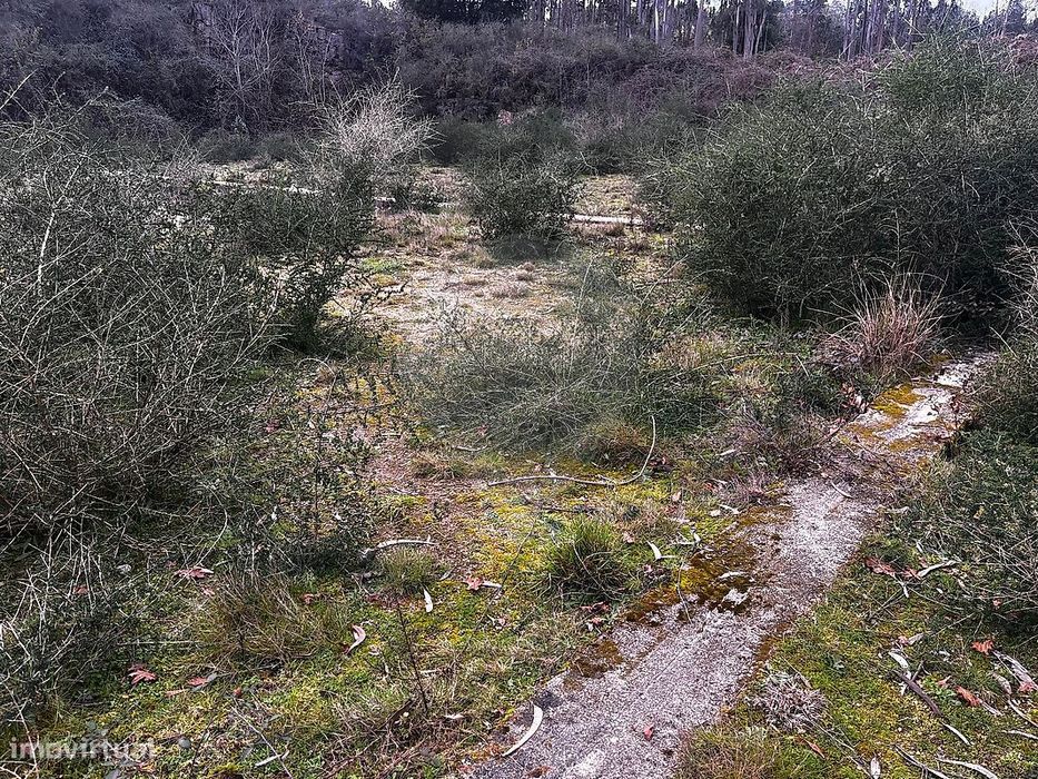 Terreno  para venda