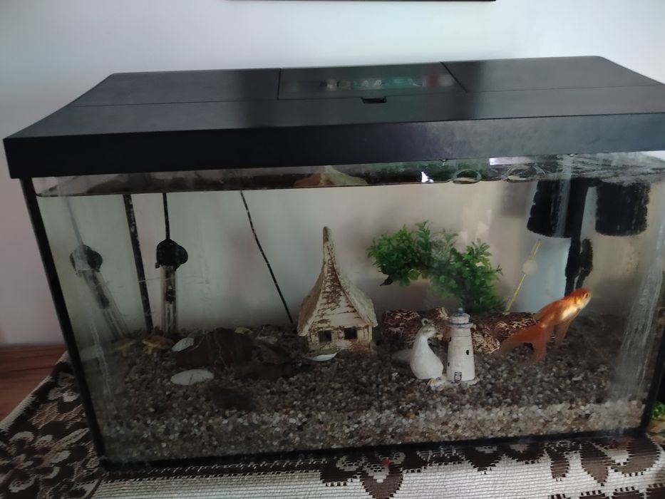 Akwarium 60 litrów