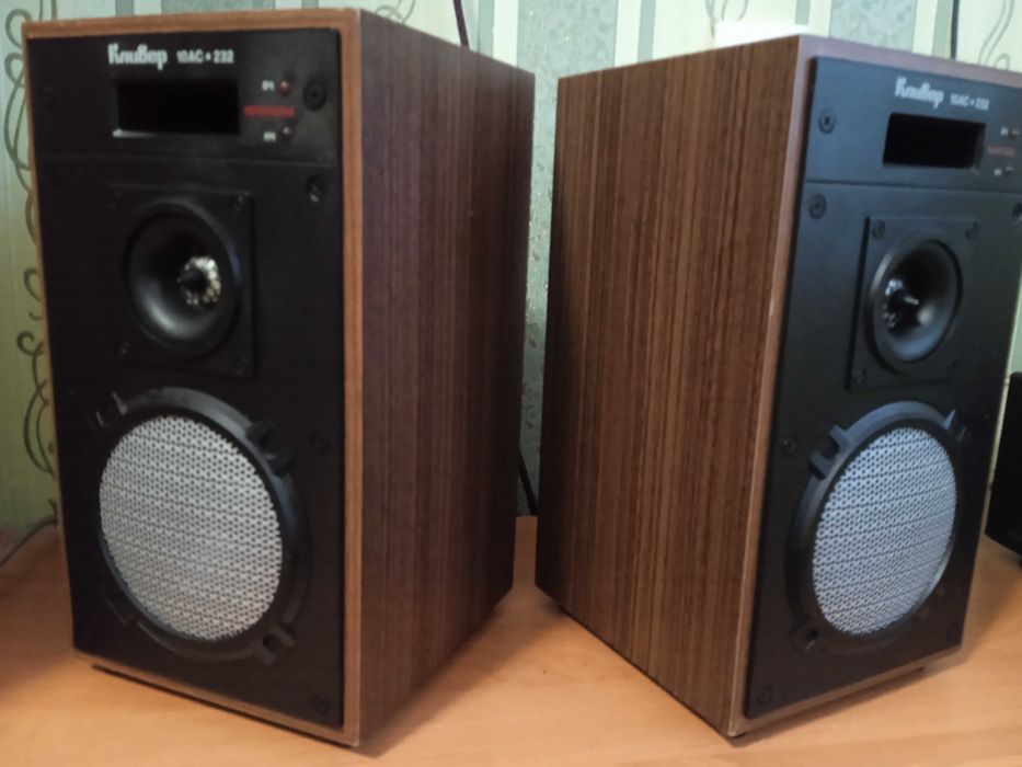 Колонки Кливер 10АС-232