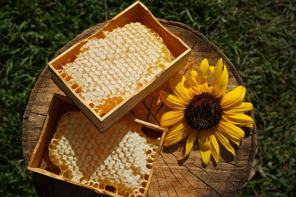 Мед у сотах. Стільниковий мед. доставка!