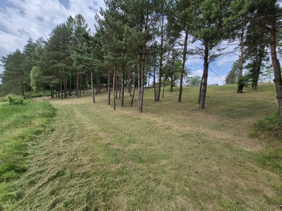 Koszenie trawy . Działki, ogrody, posesje .