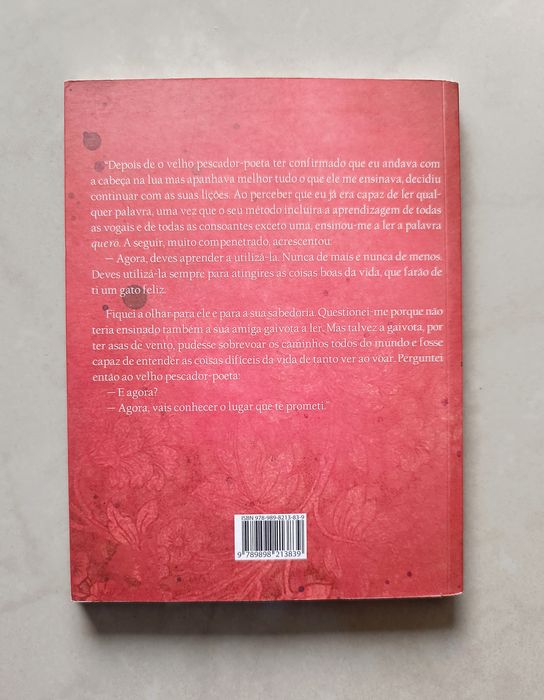 Livro "Episódios da vida de um jovem gato"