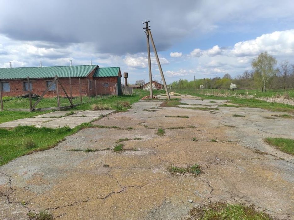 Продаж ферми. Траса Київ Рівне. Житомир. Можна під виробництво.
