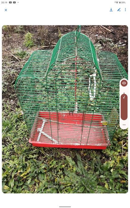 Клітки для хомячка та птичок.