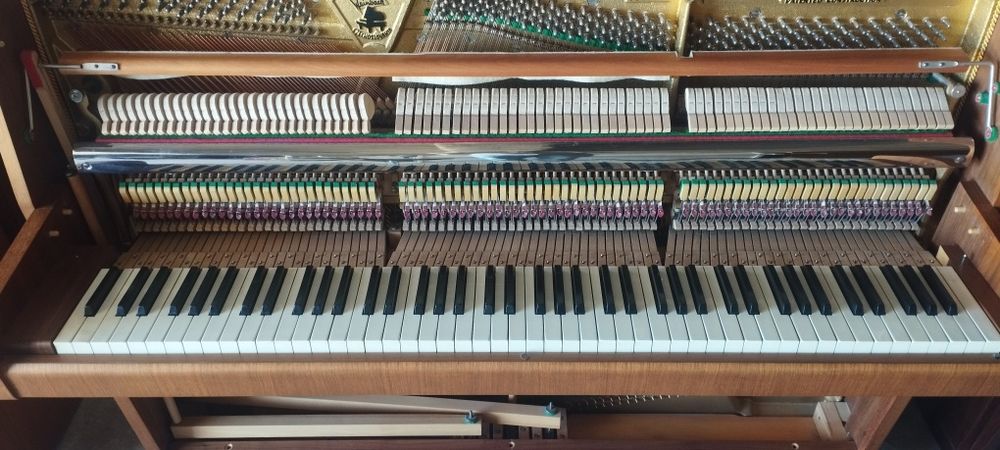 Piano vertical Weinbach Petrof Oferta Transporte e Afinação