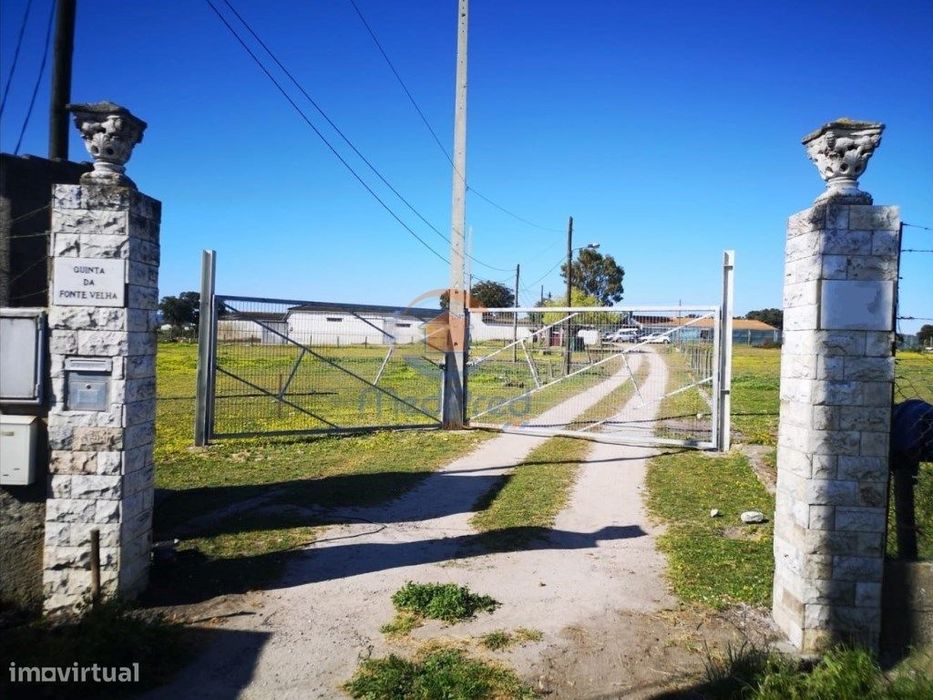 MTM6872 - Quintinha 11.500m2 | Palmela