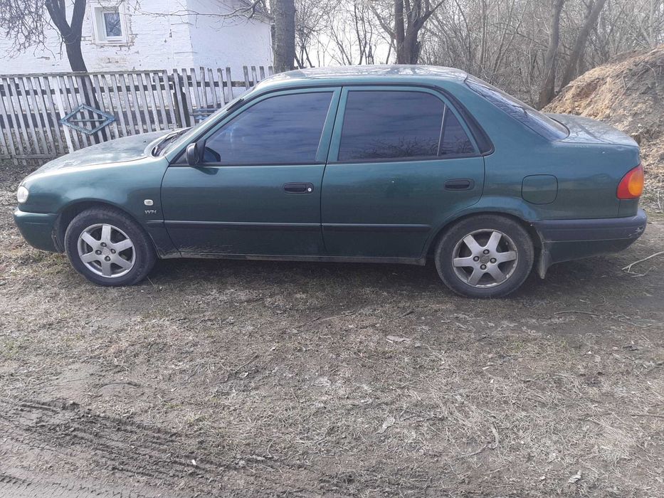 Продам ЛАСТІВОЧКУ