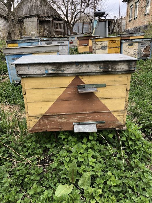 Продам улья лежаки на украинскую рамку