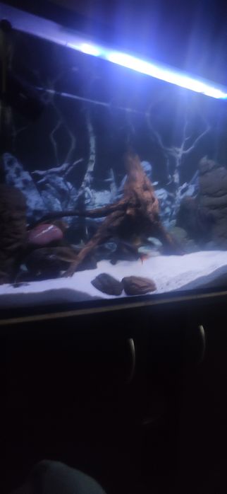 Продам аквариум на 240 л, полный комплект