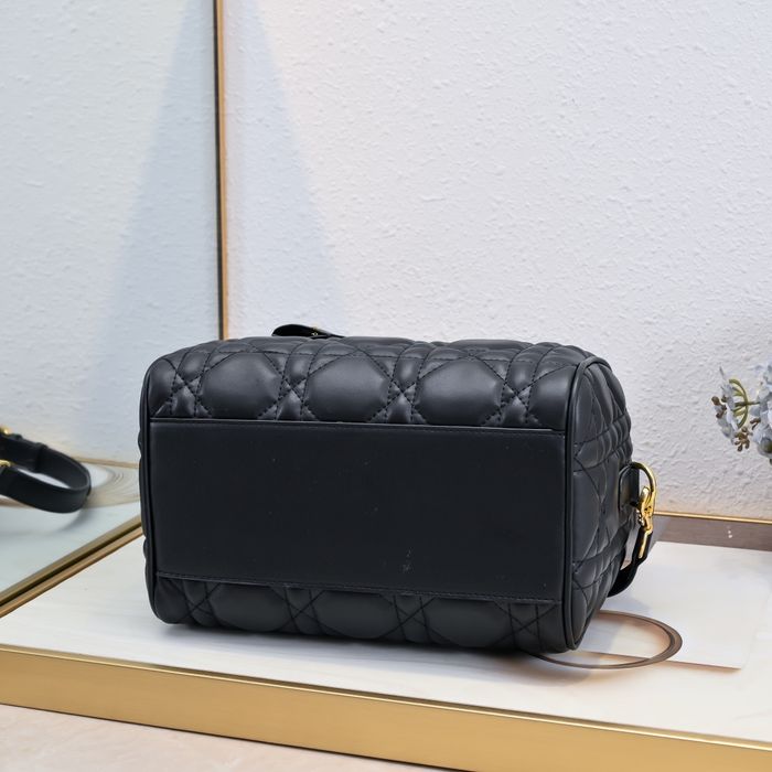 DIR Жіноча сумка Louis Vuitton
